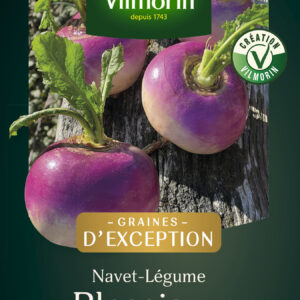 Navet-légume Plessis F1 - Graines d'Exception