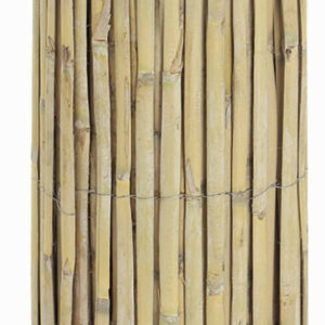 Canisse de roseaux fendus, tiges moyennes -  Naturel - 1x5m