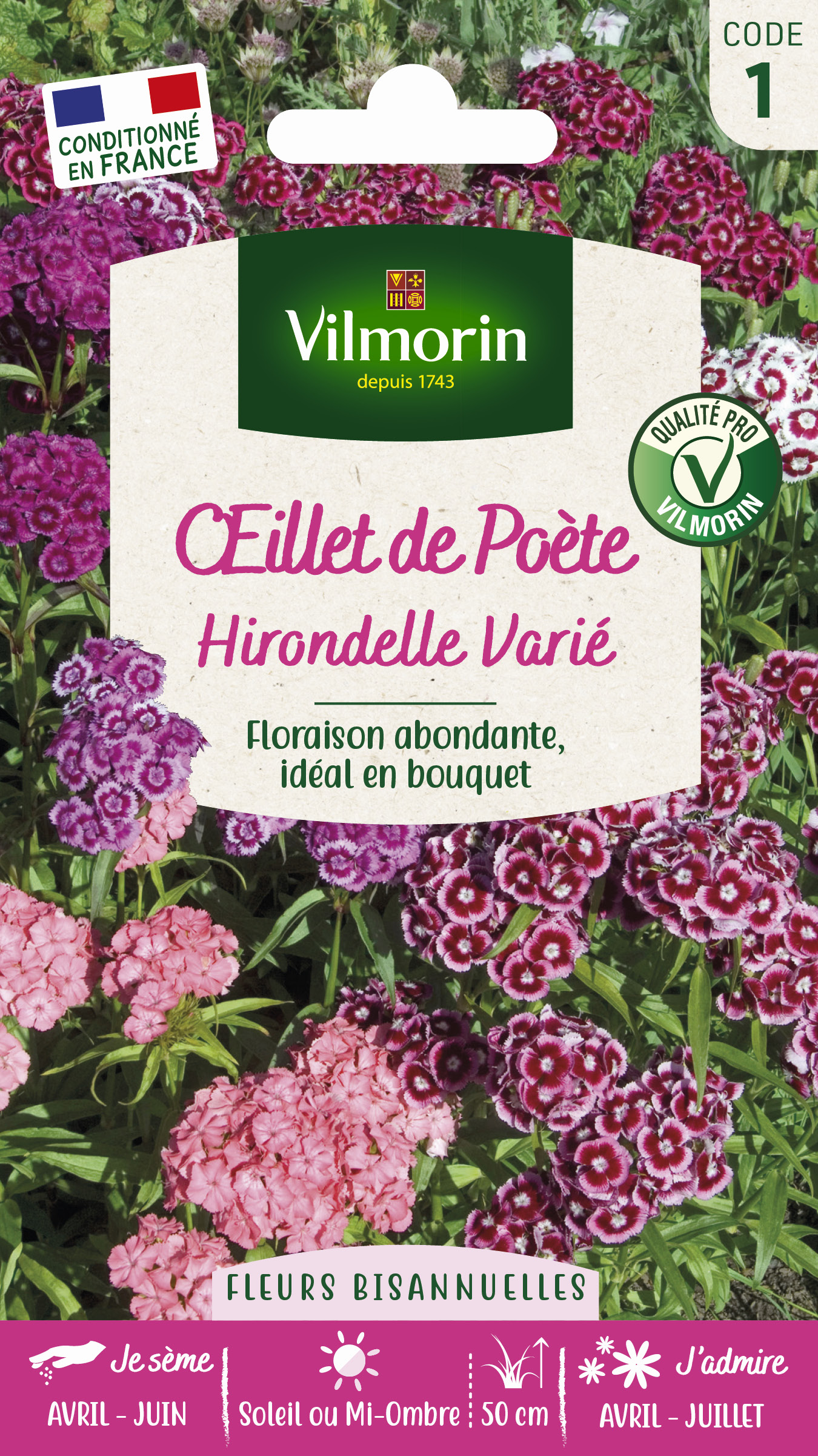 Œillet de Poète Hirondelle Varié