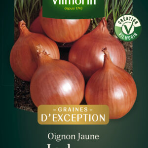 Oignon Jaune Jady HF1 - Graines d'Exception