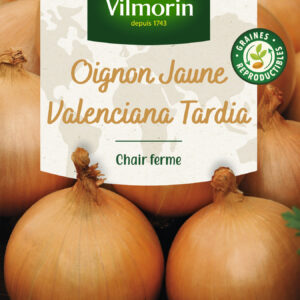 Oignon jaune Valenciana Tardia