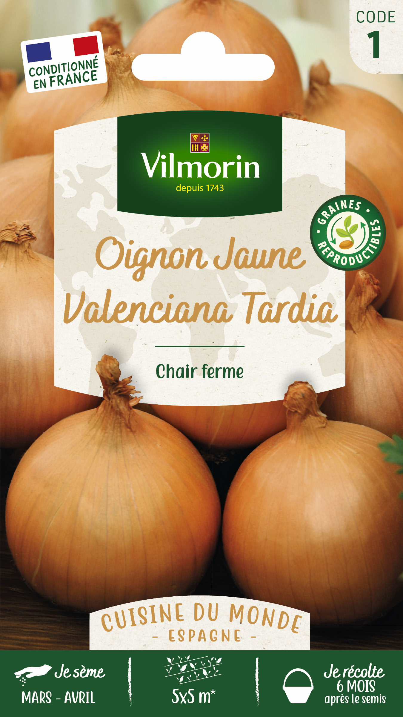 Oignon jaune Valenciana Tardia
