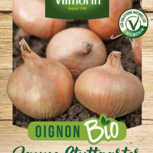 Oignon Stuttgarter - BIO