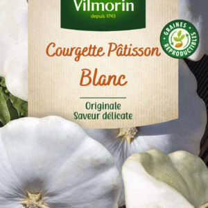 Pâtisson blanc - Légumes d'Autrefois