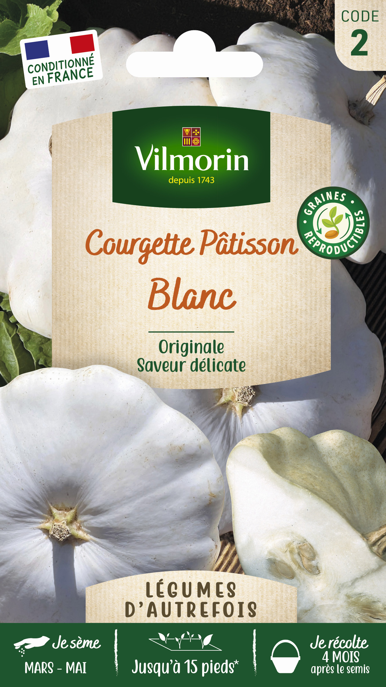 Pâtisson blanc - Légumes d'Autrefois