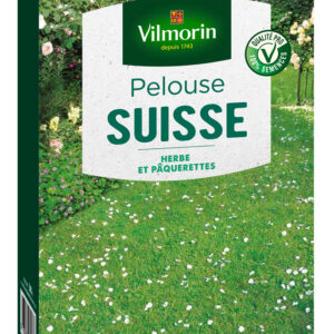 Pelouse Suisse - Paquerettes