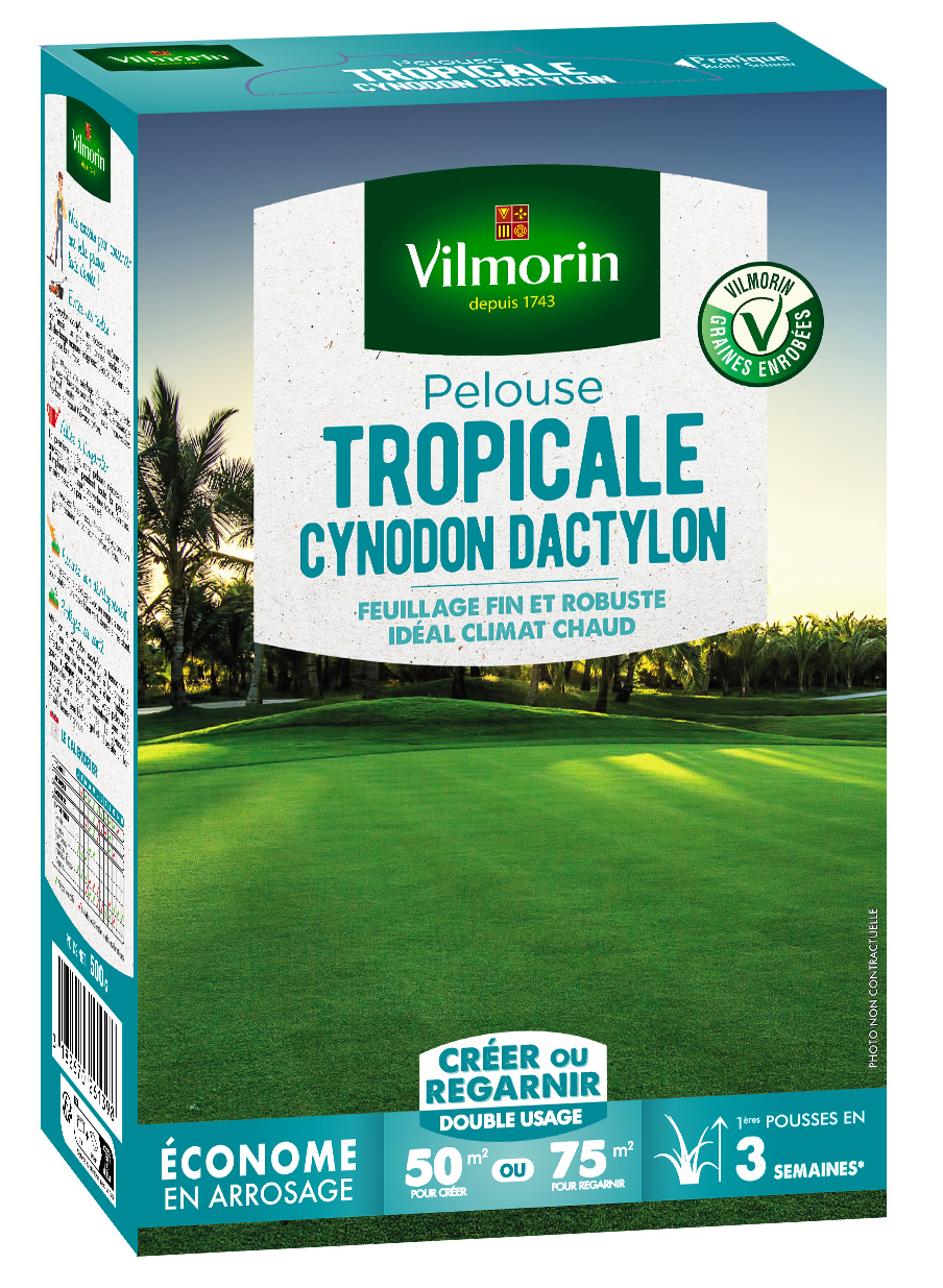 Pelouse Tropicale - Cynodon Dactylon - 500 g
