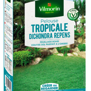 Pelouse Tropicale - Dichondra Repens - 500 g