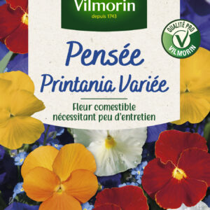 Pensée Printania Variée