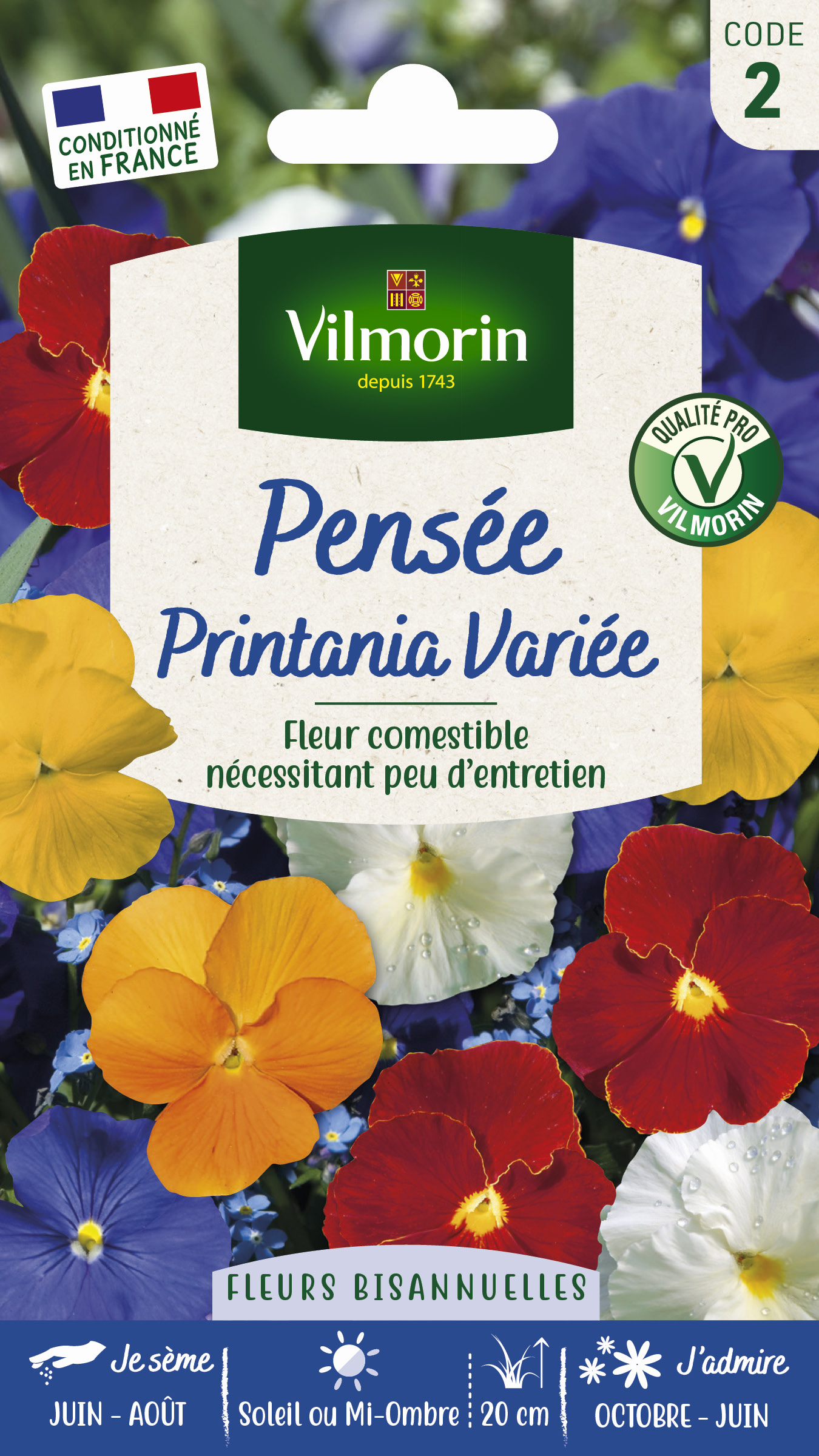 Pensée Printania Variée