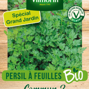 Persil Commun 2 - BIO - Grand Modèle