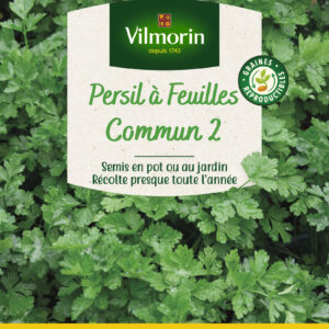 Persil Commun 2 - Grand Modèle