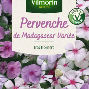 Pervenche de Madagascar en Mélange