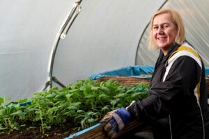 Serre tunnel solidement ancrée dans un potager