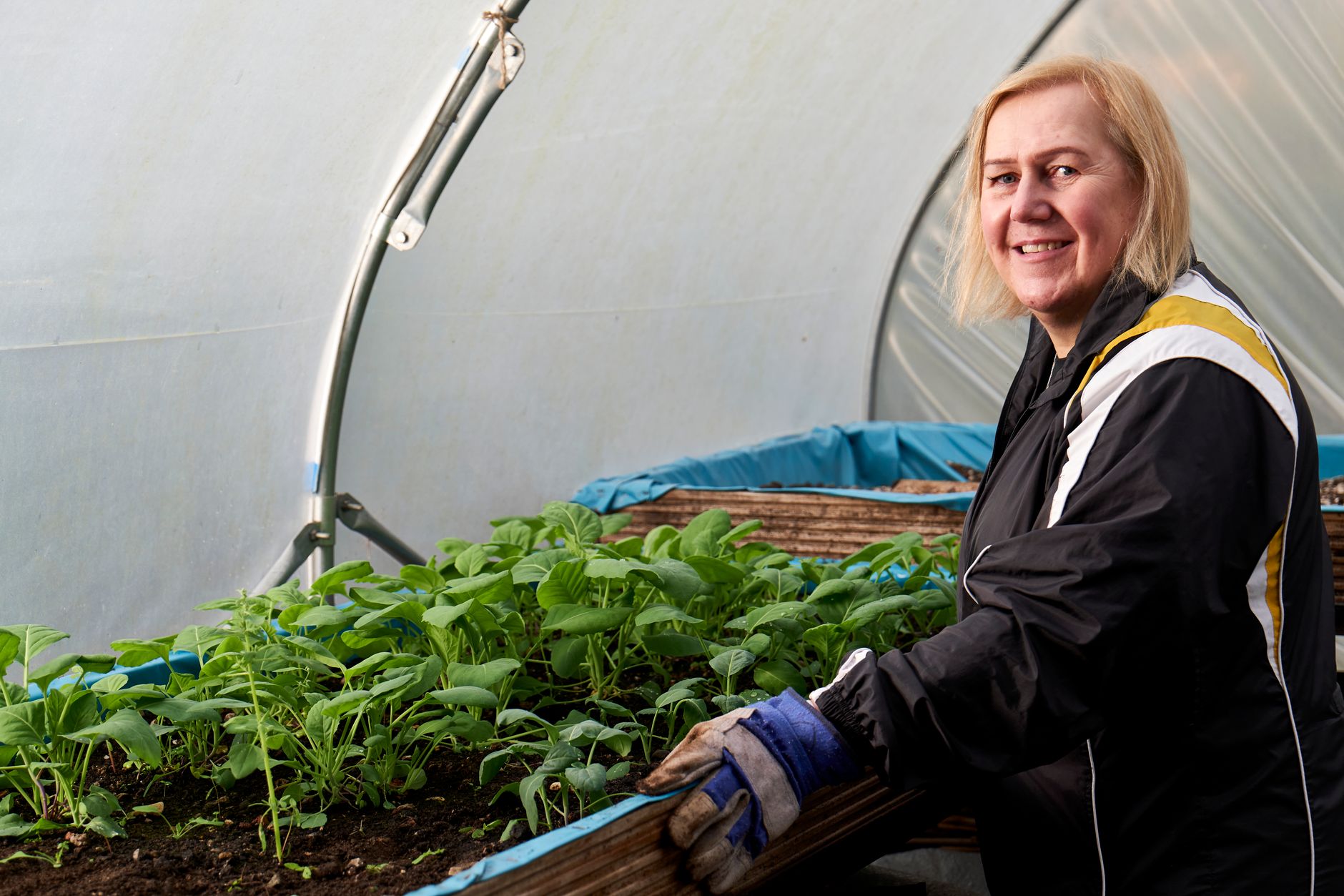 Serre tunnel solidement ancrée dans un potager