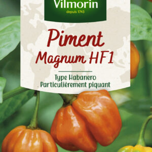 Piment Magnum HF1 - Cuisine du Monde