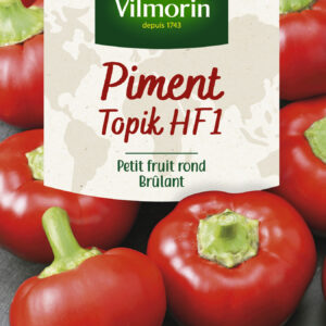 Piment Topik HF1 - Cuisine du Monde