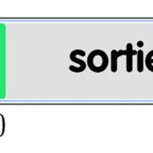 Plaquette de porte ''Sortie flèche à gauche'' plexiglas 170 x 45 mm NOVAP 4033600