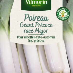 Poireau Géant Précoce race Major