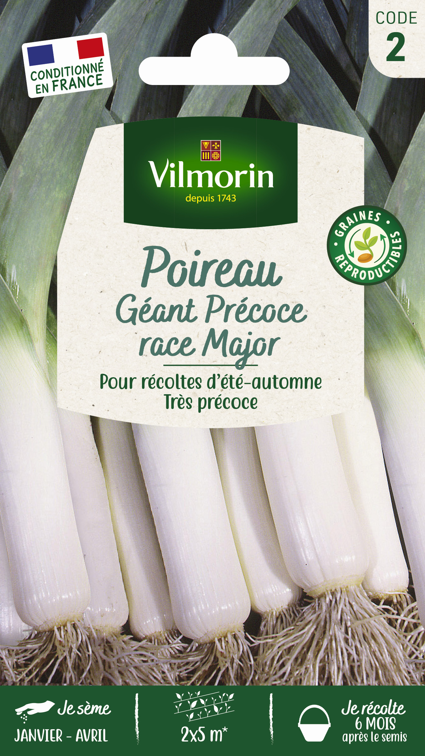 Poireau Géant Précoce race Major
