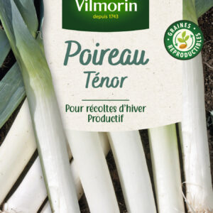 Poireau Ténor