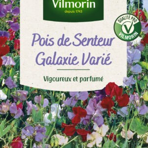 Pois de Senteur Galaxie Varié