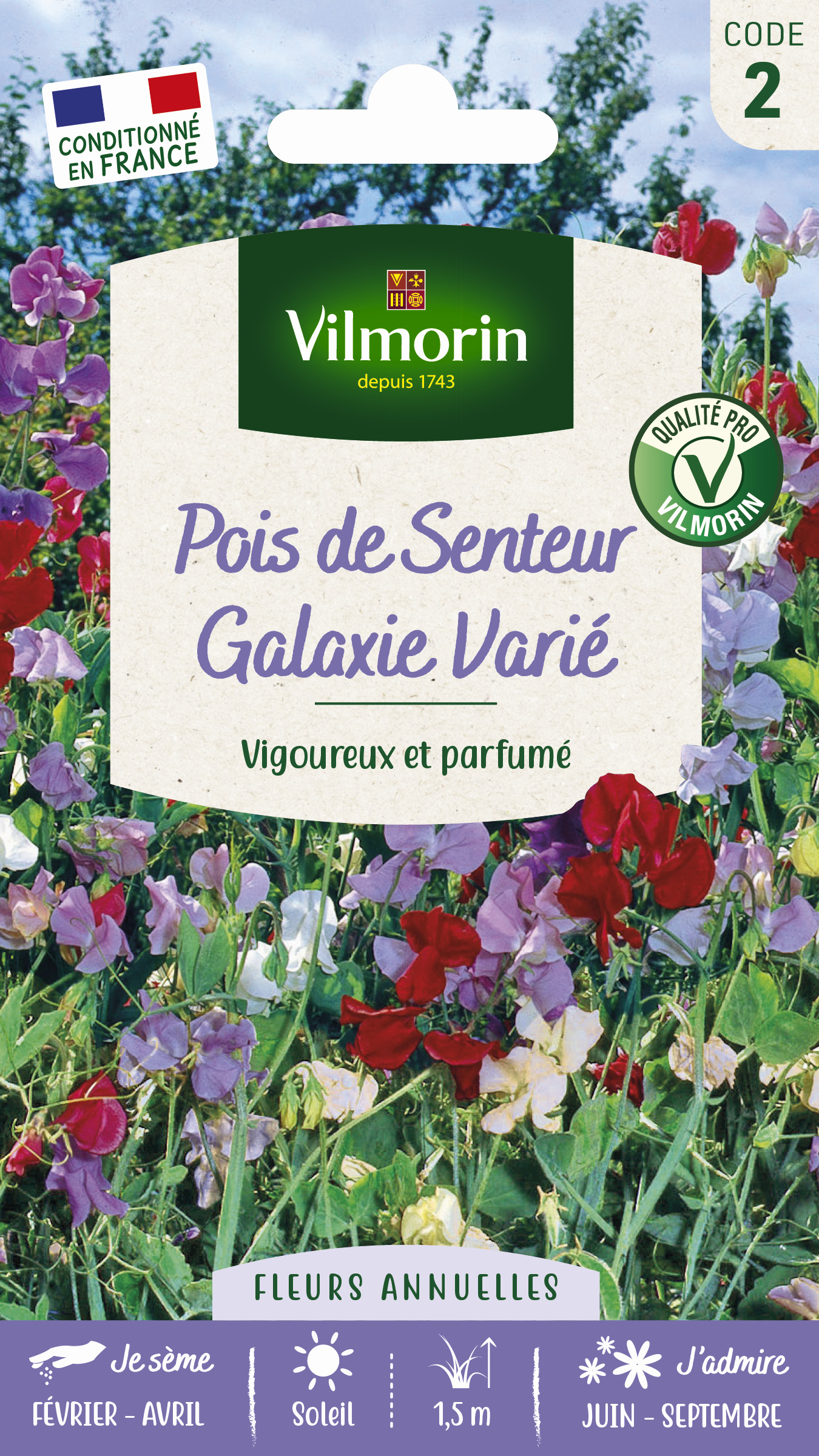 Pois de Senteur Galaxie Varié