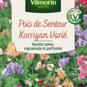 Pois de Senteur Korrigan varié