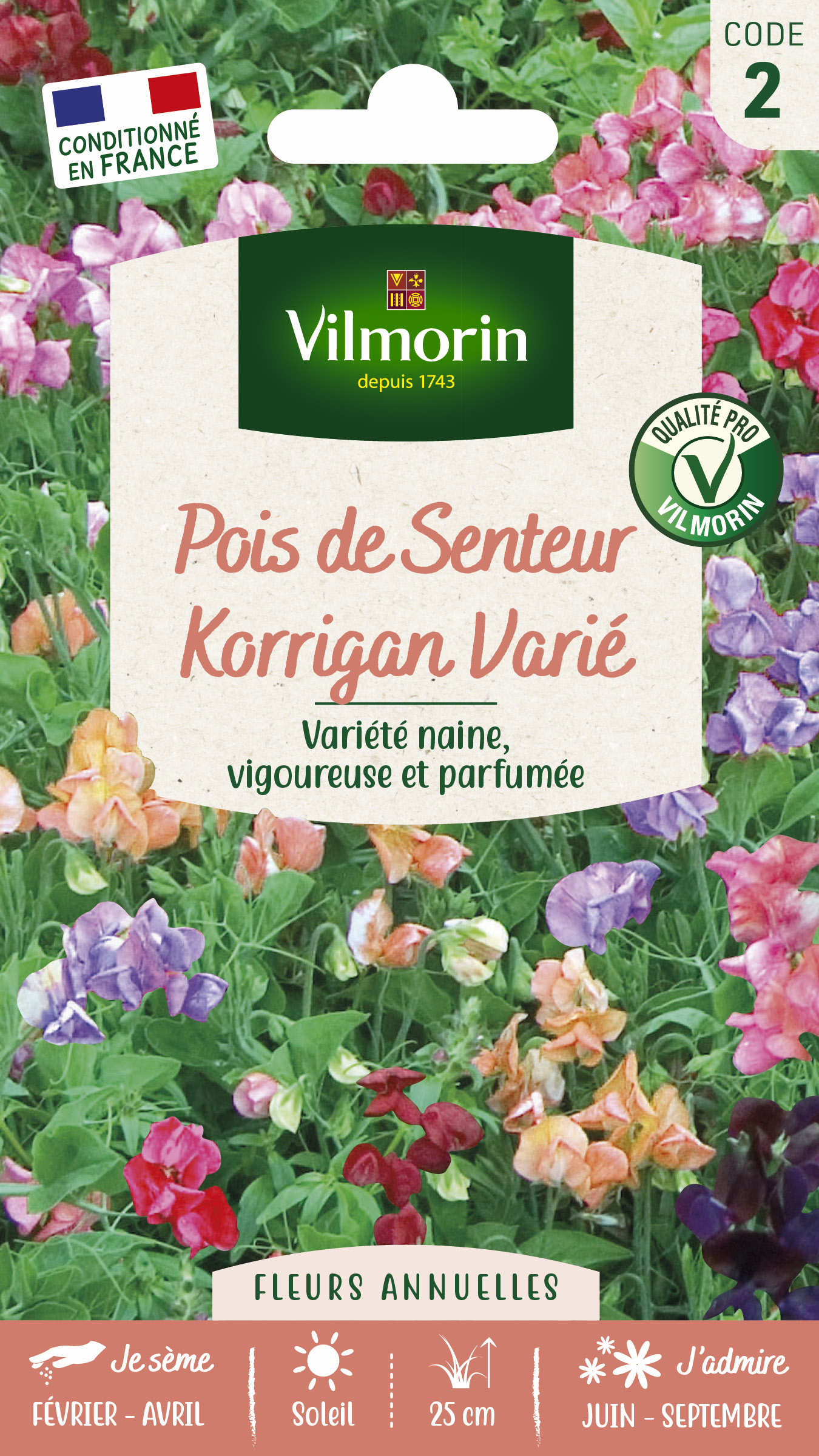 Pois de Senteur Korrigan varié