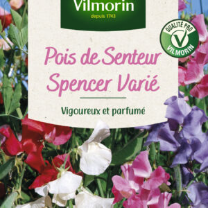 Pois de Senteur Spencer Varié