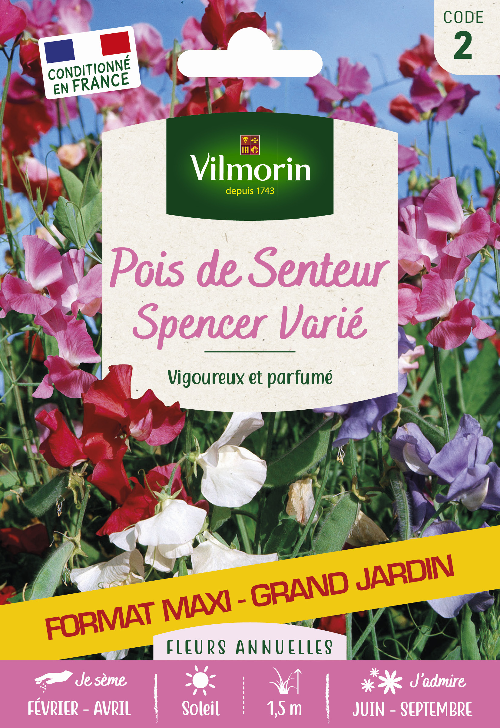 Pois de Senteur Spencer Varié - Grand Modèle