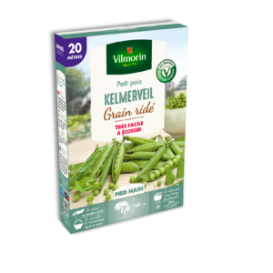 Pois Nain à Grain Ridé Kelmerveil - 20 m