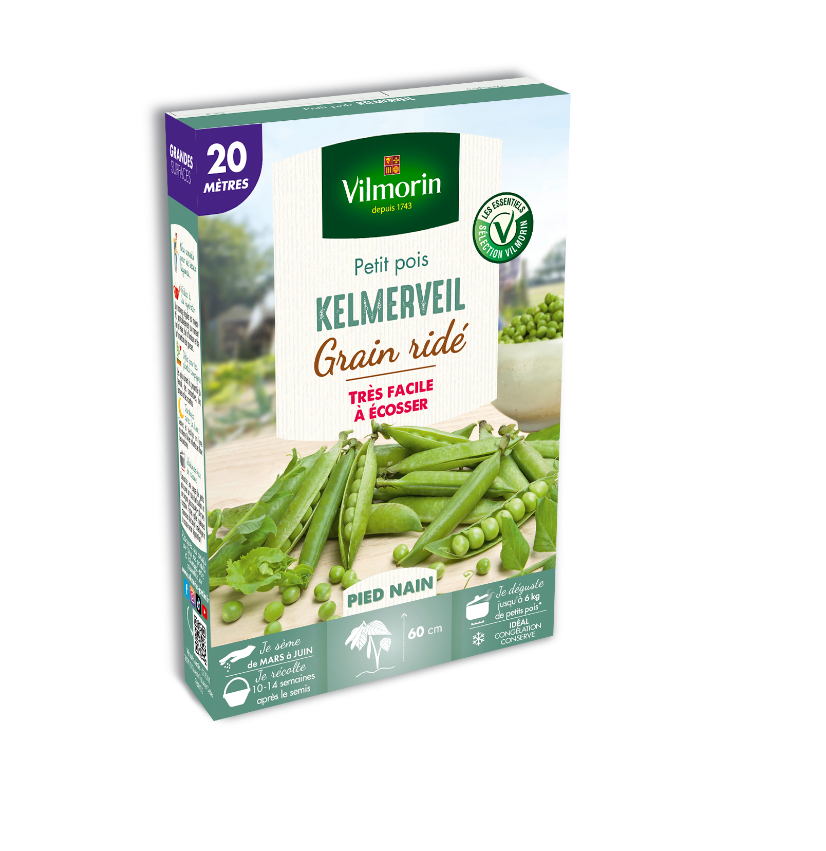 Pois Nain à Grain Ridé Kelmerveil - 20 m