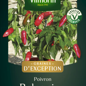 Poivron Balconi HF1 - Graines d'Exception