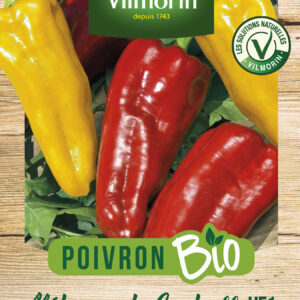Poivron Mélange de Couleurs - BIO