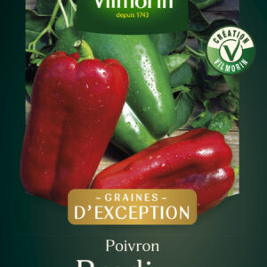 Poivron Predi HF1 - Graines d'Exception