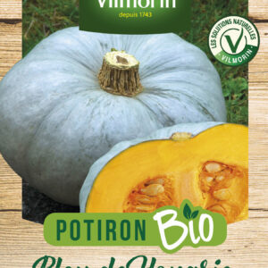 Potiron Bleu de Hongrie - BIO