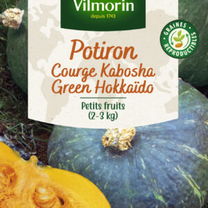 Potiron (Courge Kabocha) Green Hokkaido - Cuisine du Monde