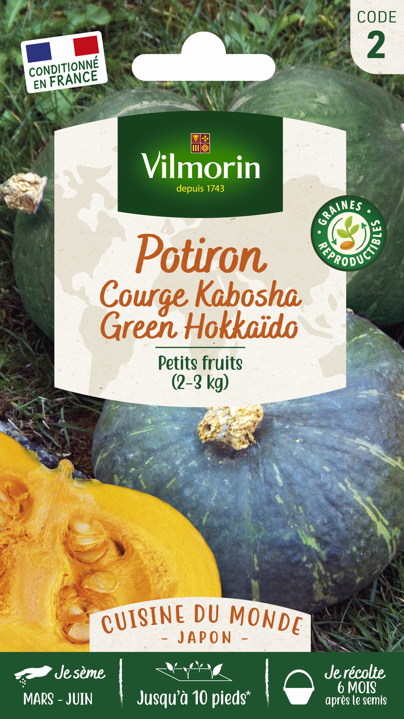 Potiron (Courge Kabocha) Green Hokkaido - Cuisine du Monde