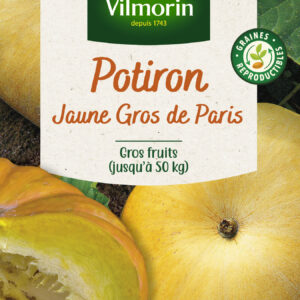 Potiron Jaune Gros de Paris