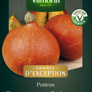 Potiron Potimarron - Graines d'Exception