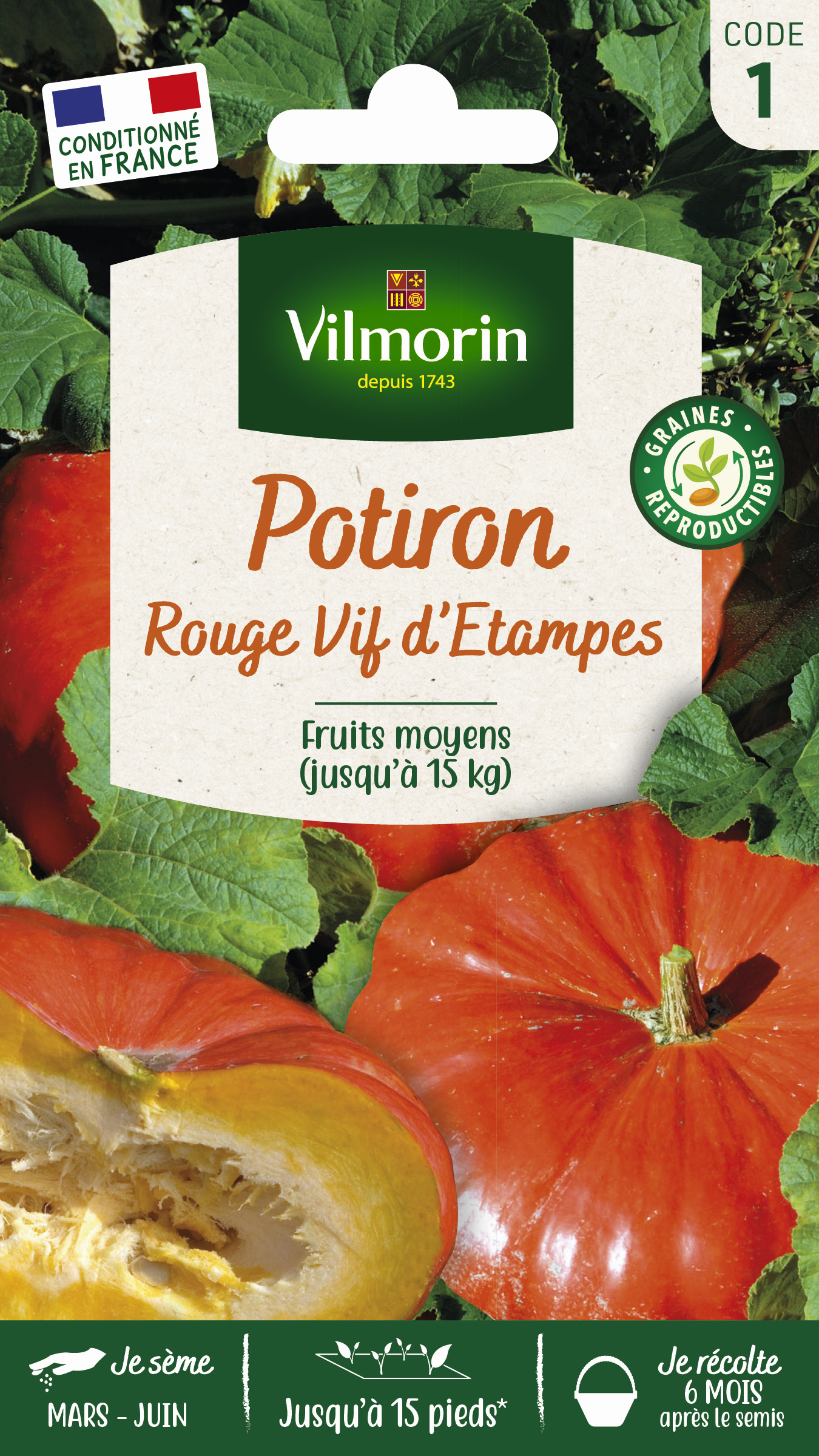 Potiron Rouge Vif d'Etampes