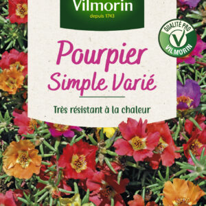 Pourpier Simple Varié