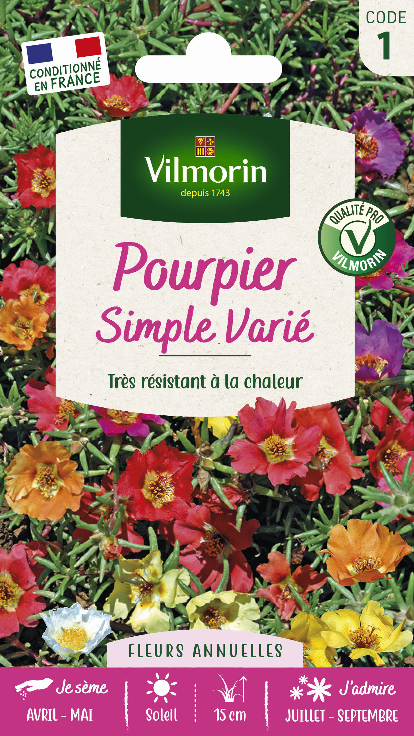 Pourpier Simple Varié