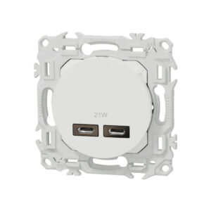 Prise chargeur USB double type C Blanc craie Schneider Odace