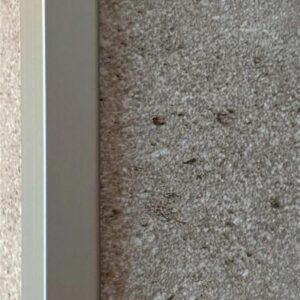 Profilé d'angle extérieur en L - Revela L - Longueur: 2.6 m- Aluminium