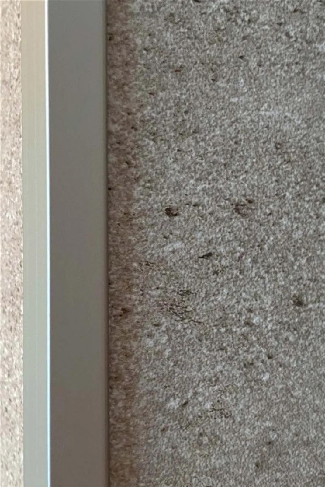 Profilé d'angle extérieur en L - Revela L - Longueur: 2.6 m- Aluminium