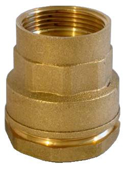Raccord droit PE femelle - Diamètre : 40 - 1 1/4''