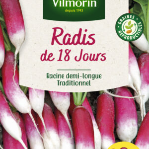 Radis de 18 Jours avec graines de Radis Expo HF1 offertes
