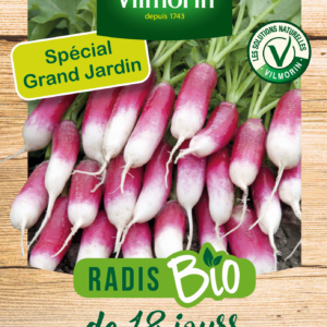 Radis de 18 Jours - BIO - Grand Modèle